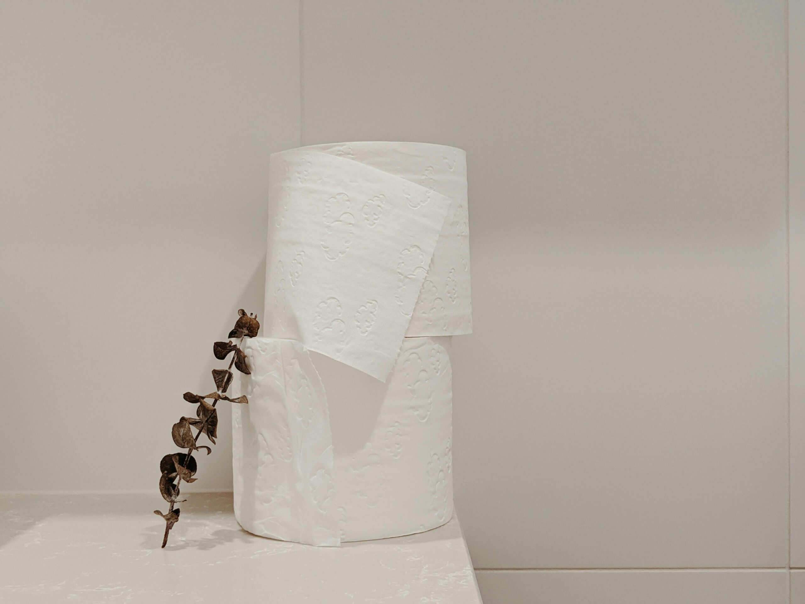 Two toilet papers placed on top of each other.